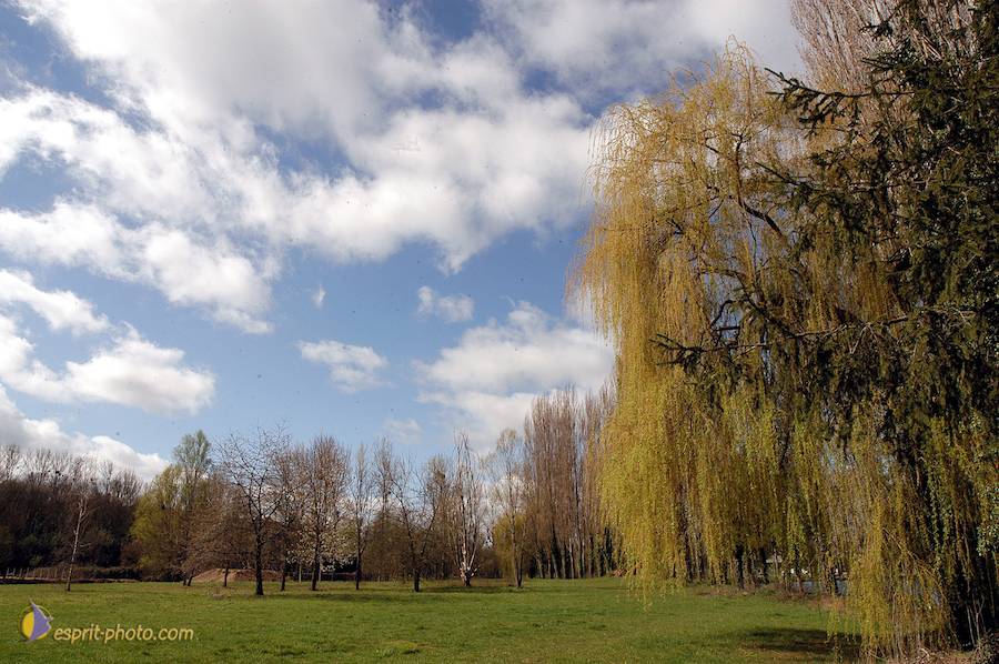 Nom de l'image : D1120241-01_(c)Norbert-JUNG — Description :  PËlerinage de Chartres 2004